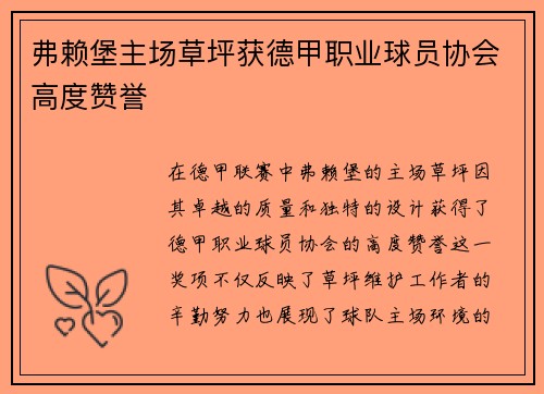 弗赖堡主场草坪获德甲职业球员协会高度赞誉