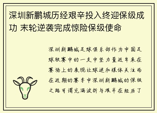 深圳新鹏城历经艰辛投入终迎保级成功 末轮逆袭完成惊险保级使命